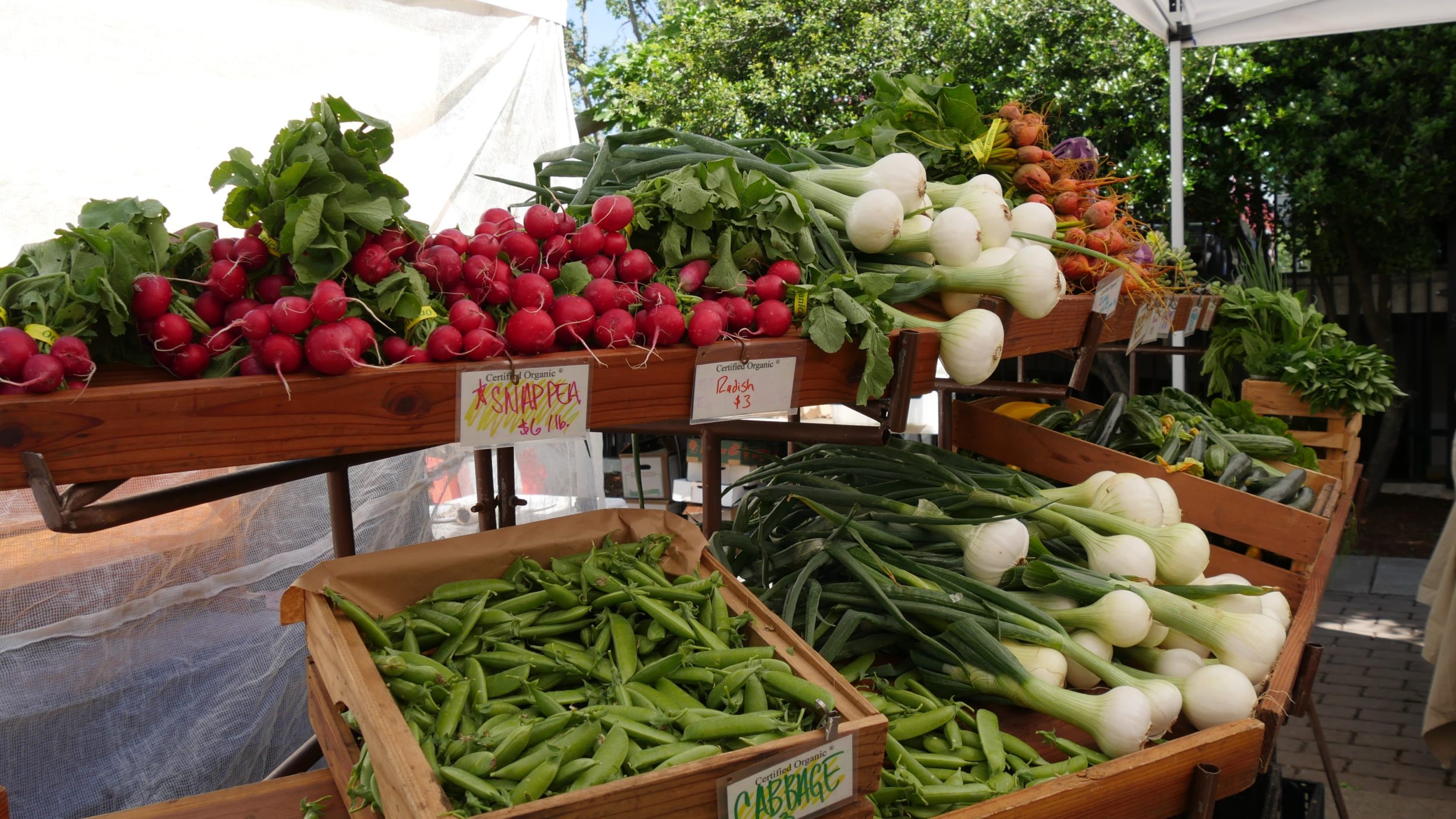 5 tips for shopping smarter at local farmer’s markets in Orange County