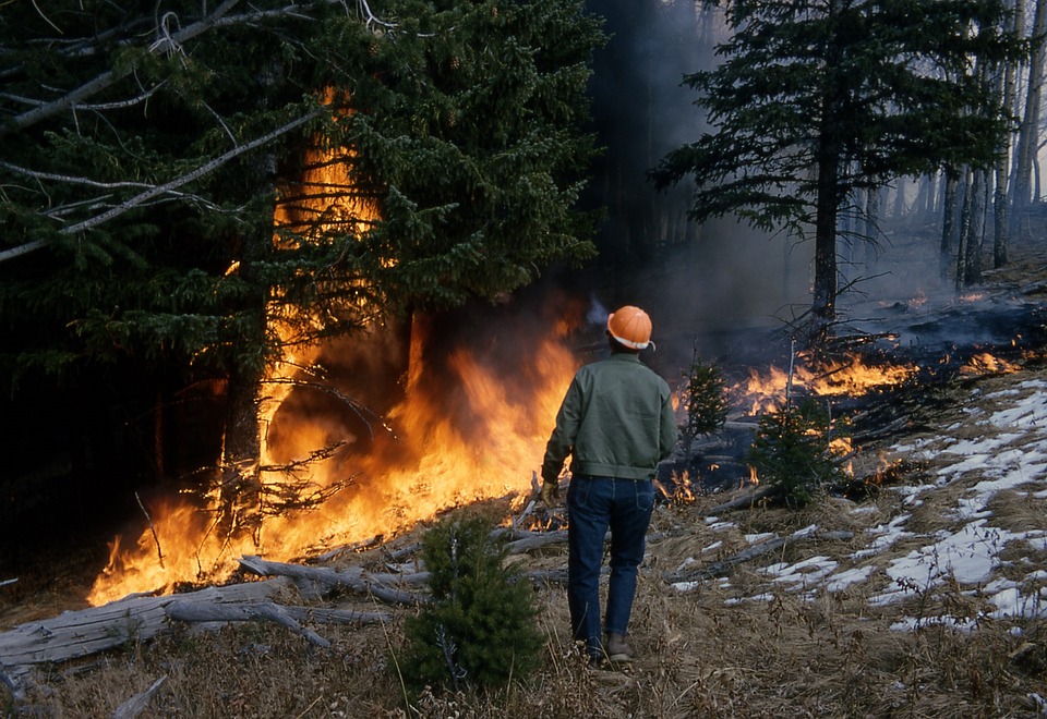 How to Prepare for a Wildfire Evacuation