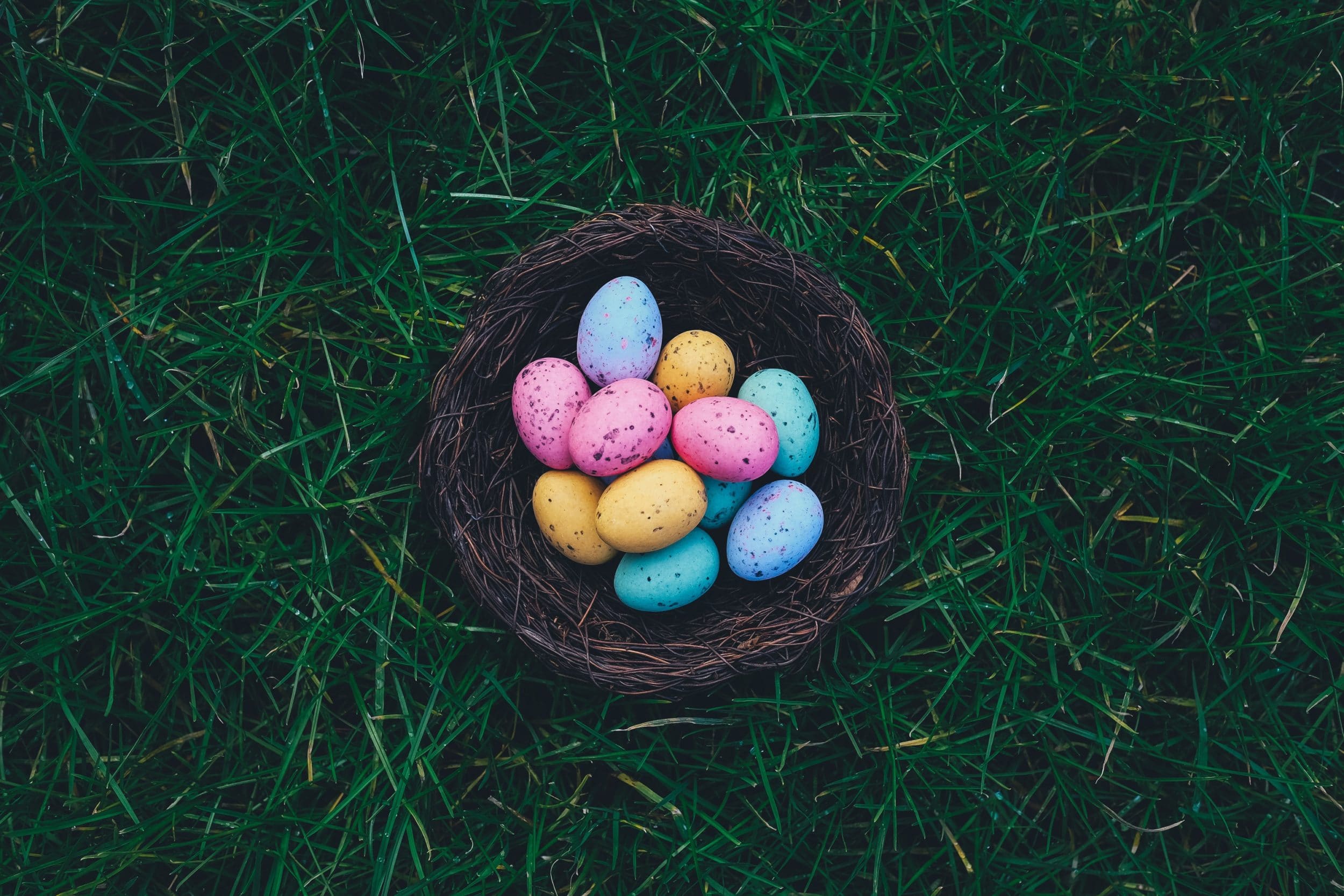 Searching For Egg Hunts & More In Orange County?