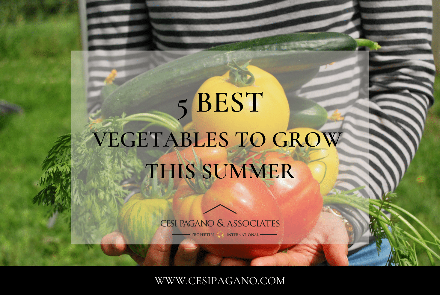 5 Best Vegetables to Plant This Summer