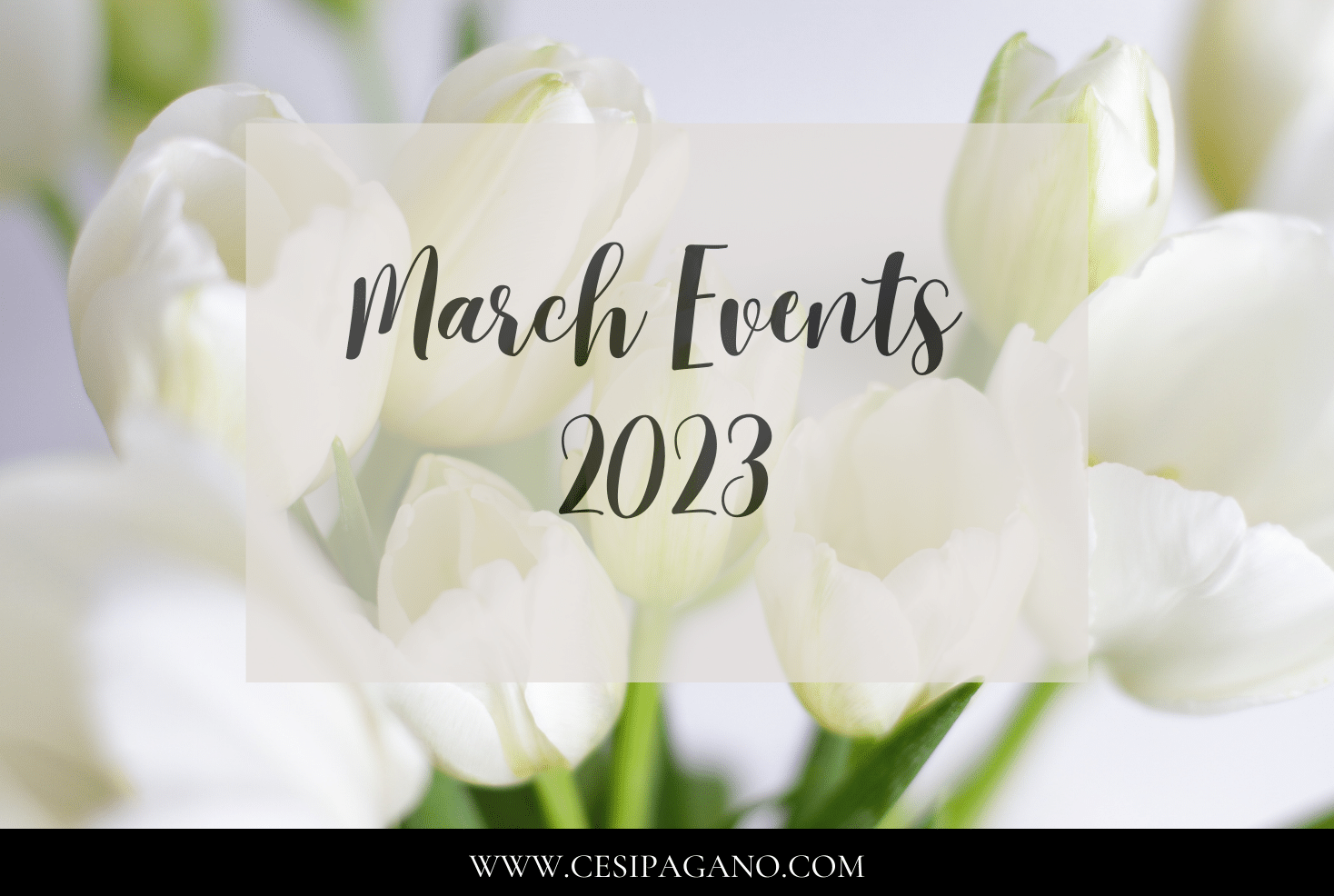 Orange County Events March 2023