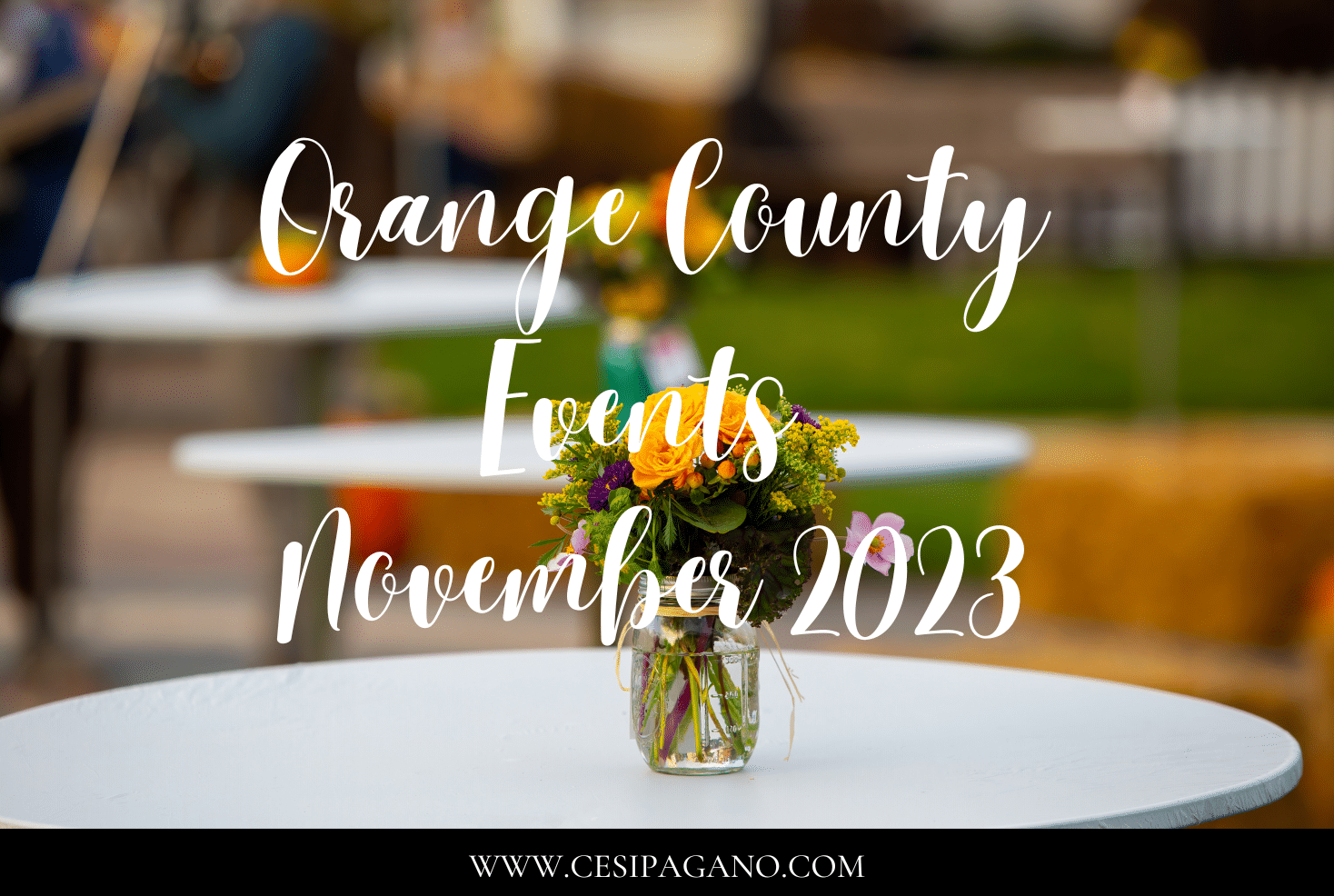 Orange County Events November 2023