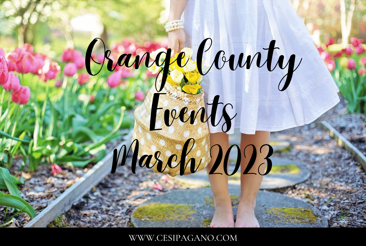 Orange County Events March 2024